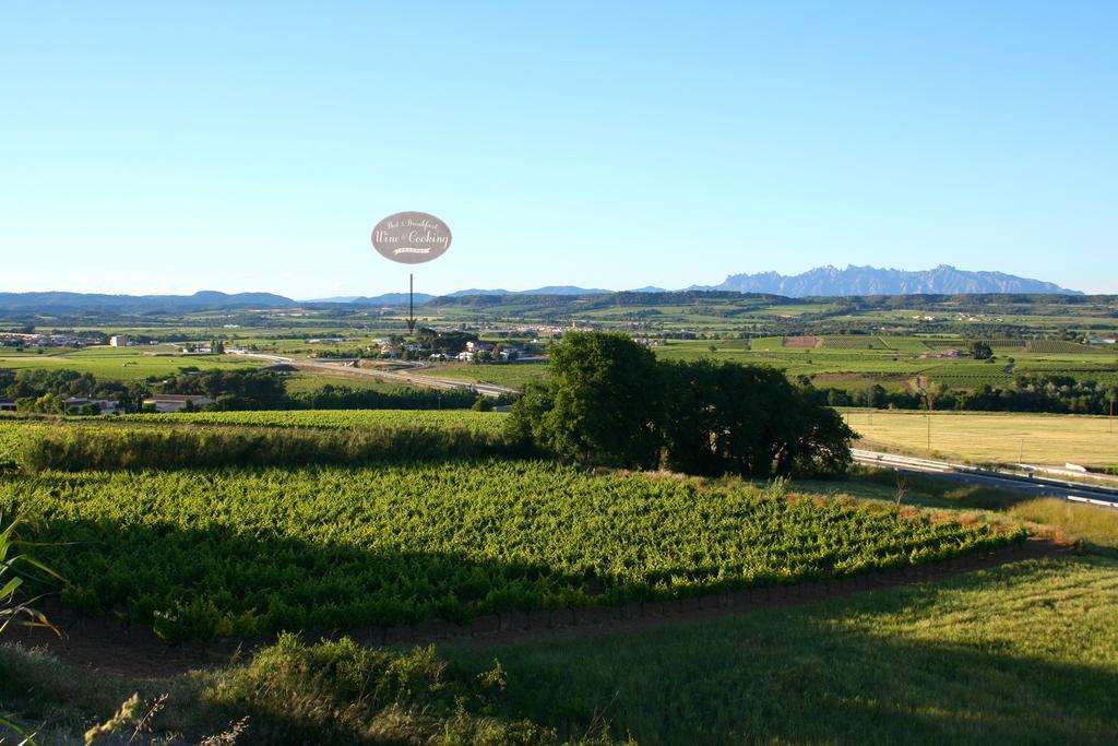 Bed & Breakfast Wine & Cooking Penedes Pla del Panades Exterior photo